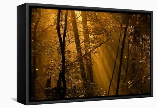 Morning Rays-Norbert Maier-Framed Stretched Canvas