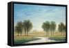 Morning Reflection I-Neil Thomas-Framed Stretched Canvas