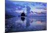 Morning Reflection Walk at Cannon Beach, Oregon Coast-Vincent James-Mounted Photographic Print