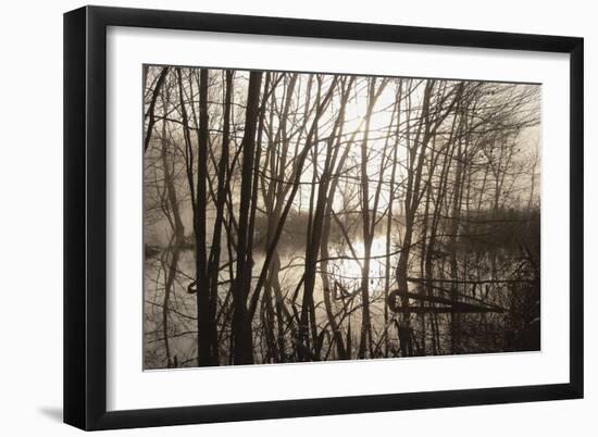 Morning Reflections-Erik Richards-Framed Art Print