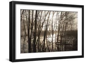 Morning Reflections-Erik Richards-Framed Art Print