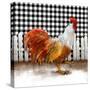 Morning Rooster I-Dan Meneely-Stretched Canvas