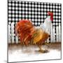 Morning Rooster I-Dan Meneely-Mounted Art Print