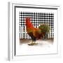 Morning Rooster II-Dan Meneely-Framed Premium Giclee Print