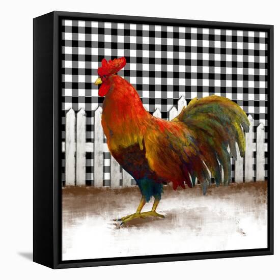 Morning Rooster II-Dan Meneely-Framed Stretched Canvas