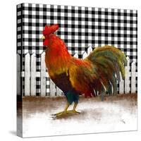 Morning Rooster II-Dan Meneely-Stretched Canvas