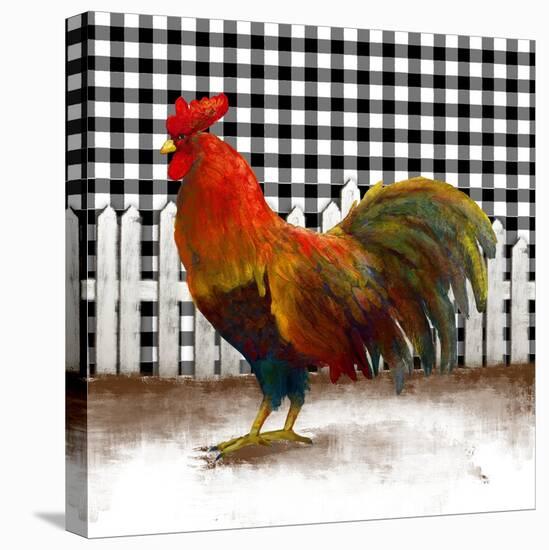 Morning Rooster II-Dan Meneely-Stretched Canvas