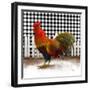 Morning Rooster II-Dan Meneely-Framed Art Print