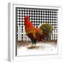 Morning Rooster II-Dan Meneely-Framed Art Print