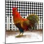 Morning Rooster II-Dan Meneely-Mounted Art Print