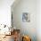 Morning Rose II-Jane Slivka-Premium Giclee Print displayed on a wall