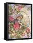 Morning Rose-Linda Ravenscroft-Framed Stretched Canvas