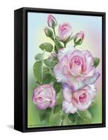 Morning Roses-Olga And Alexey Drozdov-Framed Stretched Canvas