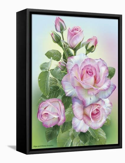 Morning Roses-Olga And Alexey Drozdov-Framed Stretched Canvas