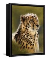 Morning's Glow-Barbara Keith-Framed Stretched Canvas