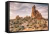 Morning Sandstone Landscape, Arches Utah-Vincent James-Framed Stretched Canvas