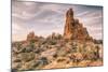 Morning Sandstone Landscape, Arches Utah-Vincent James-Mounted Photographic Print