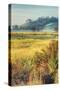 Morning Scene at Coyote Hills, Fremont California-Vincent James-Stretched Canvas