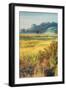 Morning Scene at Coyote Hills, Fremont California-Vincent James-Framed Photographic Print