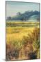 Morning Scene at Coyote Hills, Fremont California-Vincent James-Mounted Photographic Print