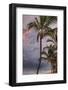 Morning Sea Breeze-Marcus Prime-Framed Photo