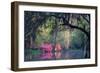 Morning Serenity-H J Herrera-Framed Photographic Print