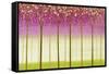 Morning Sky-Herb Dickinson-Framed Stretched Canvas