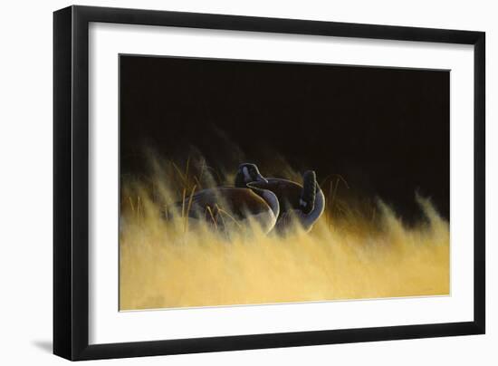 Morning Solitude-Michael Budden-Framed Giclee Print