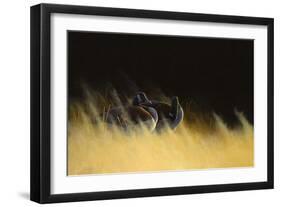 Morning Solitude-Michael Budden-Framed Giclee Print