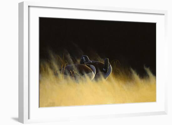 Morning Solitude-Michael Budden-Framed Giclee Print