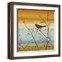 Morning Song II-Chris Donovan-Framed Art Print