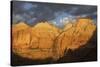 Morning spotlight, Zion National Park-Ken Archer-Stretched Canvas