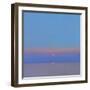 Morning Star, 2000-John Miller-Framed Giclee Print