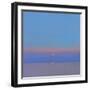 Morning Star, 2000-John Miller-Framed Giclee Print