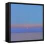 Morning Star, 2000-John Miller-Framed Stretched Canvas