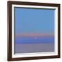 Morning Star, 2000-John Miller-Framed Giclee Print