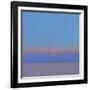 Morning Star, 2000-John Miller-Framed Giclee Print