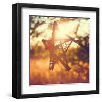 Morning Star-Kelly Poynter-Framed Art Print