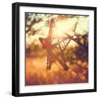 Morning Star-Kelly Poynter-Framed Art Print