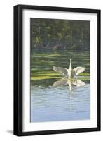 Morning Stretch-Bruce Dumas-Framed Giclee Print