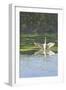 Morning Stretch-Bruce Dumas-Framed Giclee Print