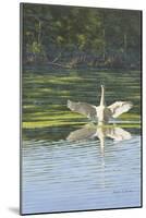 Morning Stretch-Bruce Dumas-Mounted Giclee Print