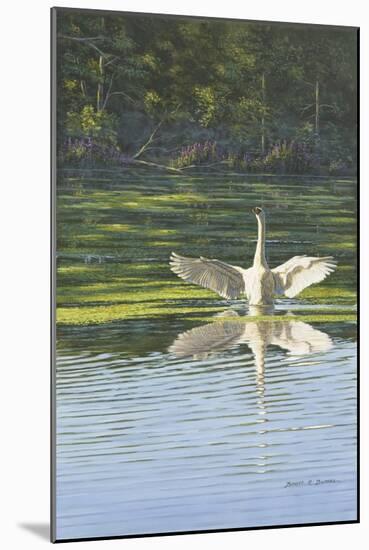 Morning Stretch-Bruce Dumas-Mounted Giclee Print