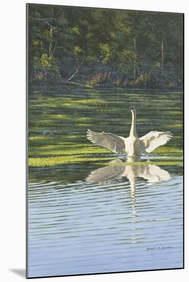 Morning Stretch-Bruce Dumas-Mounted Giclee Print