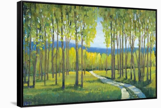 Morning Stroll I-Tim OToole-Framed Stretched Canvas