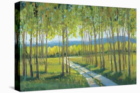Morning Stroll II-Tim OToole-Stretched Canvas