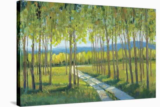 Morning Stroll II-Tim OToole-Stretched Canvas