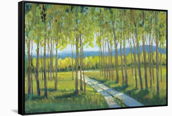 Morning Stroll II-Tim OToole-Framed Stretched Canvas