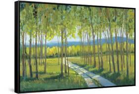 Morning Stroll II-Tim OToole-Framed Stretched Canvas