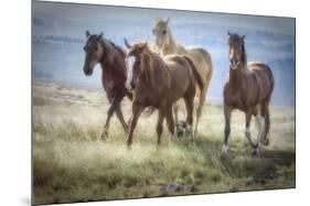 Morning Stroll-Wendy Caro-Mounted Art Print